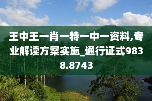 王中王一肖一特一中一资料,专业解读方案实施_通行证式9838.8743