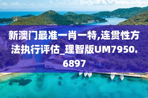 新澳门最准一肖一特,连贯性方法执行评估_理智版UM7950.6897