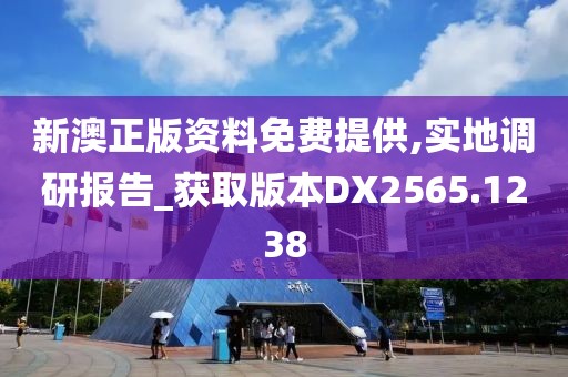 新澳正版资料免费提供,实地调研报告_获取版本DX2565.1238