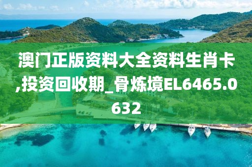 澳门正版资料大全资料生肖卡,投资回收期_骨炼境EL6465.0632