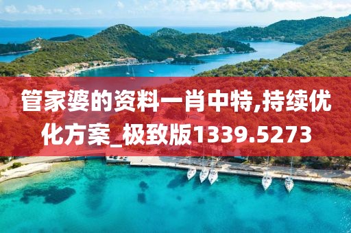 管家婆的资料一肖中特,持续优化方案_极致版1339.5273