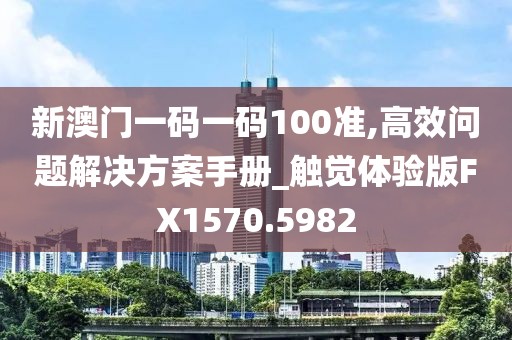 新澳门一码一码100准,高效问题解决方案手册_触觉体验版FX1570.5982