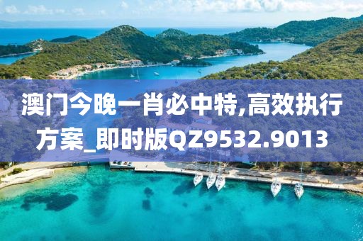 澳门今晚一肖必中特,高效执行方案_即时版QZ9532.9013