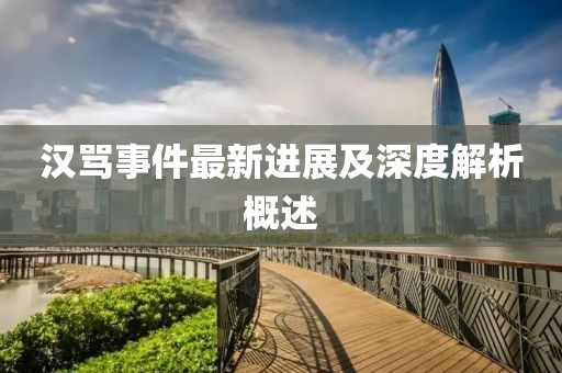 汉骂事件最新进展及深度解析概述