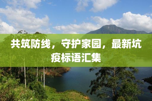 共筑防线，守护家园，最新坑疫标语汇集