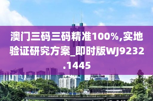 澳门三码三码精准100%,实地验证研究方案_即时版WJ9232.1445
