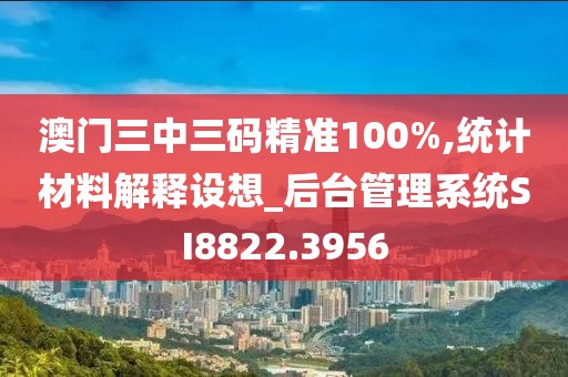 澳门三中三码精准100%,统计材料解释设想_后台管理系统SI8822.3956