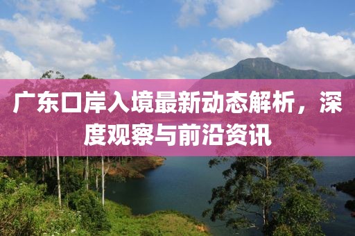 广东口岸入境最新动态解析，深度观察与前沿资讯