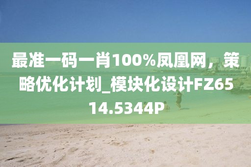 最准一码一肖100%凤凰网，策略优化计划_模块化设计FZ6514.5344P