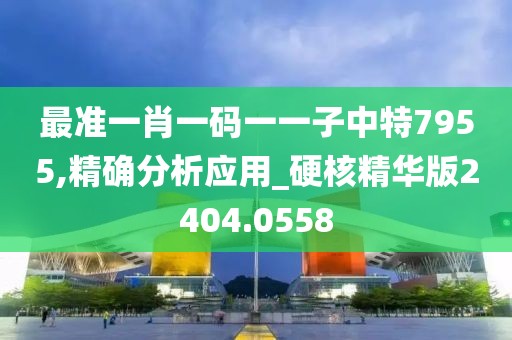 最准一肖一码一一子中特7955,精确分析应用_硬核精华版2404.0558