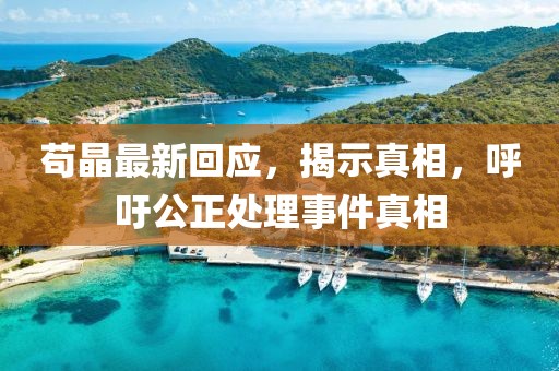 苟晶最新回应，揭示真相，呼吁公正处理事件真相