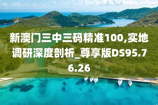 新澳门三中三码精准100,实地调研深度剖析_尊享版DS95.76.26
