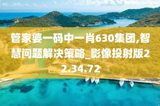 管家婆一码中一肖630集团,智慧问题解决策略_影像投射版22.34.72