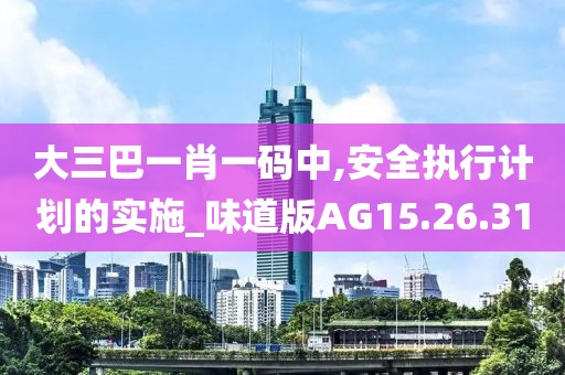 大三巴一肖一码中,安全执行计划的实施_味道版AG15.26.31