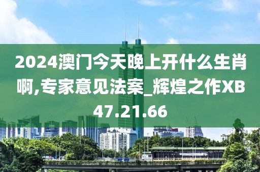 2024澳门今天晚上开什么生肖啊,专家意见法案_辉煌之作XB47.21.66