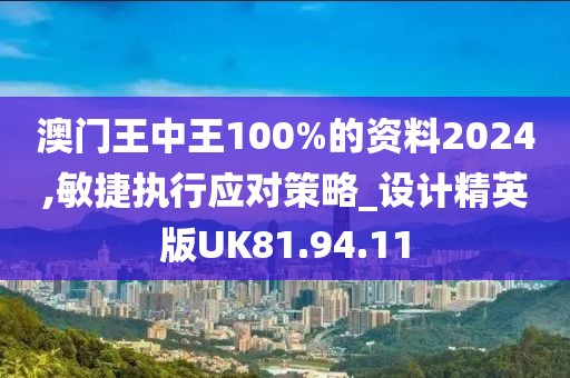 澳门王中王100%的资料2024,敏捷执行应对策略_设计精英版UK81.94.11