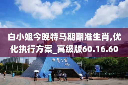 白小姐今晚特马期期准生肖,优化执行方案_高级版60.16.60