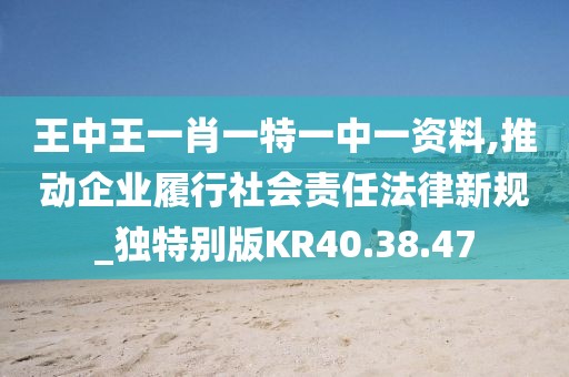 王中王一肖一特一中一资料,推动企业履行社会责任法律新规_独特别版KR40.38.47