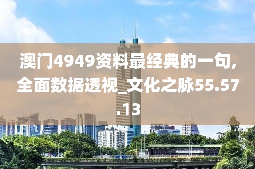 澳门4949资料最经典的一句,全面数据透视_文化之脉55.57.13