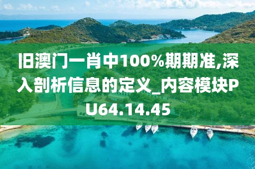 旧澳门一肖中100%期期准,深入剖析信息的定义_内容模块PU64.14.45