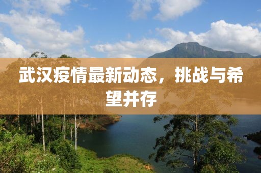 武汉疫情最新动态，挑战与希望并存