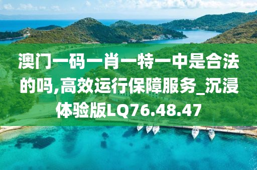 澳门一码一肖一特一中是合法的吗,高效运行保障服务_沉浸体验版LQ76.48.47