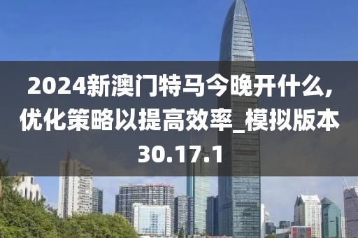 2024新澳门特马今晚开什么,优化策略以提高效率_模拟版本30.17.1
