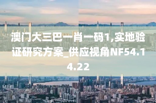 澳门大三巴一肖一码1,实地验证研究方案_供应视角NF54.14.22