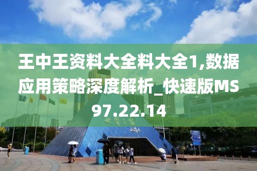 王中王资料大全料大全1,数据应用策略深度解析_快速版MS97.22.14