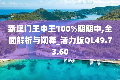 新澳门王中王100%期期中,全面解析与阐释_活力版QL49.73.60