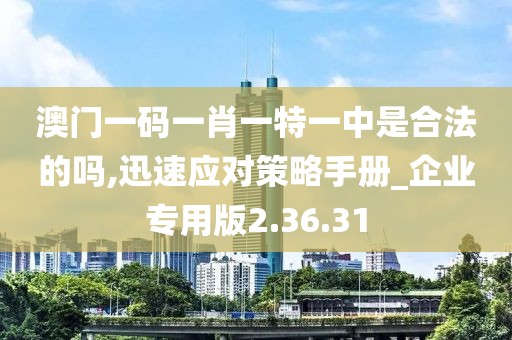 澳门一码一肖一特一中是合法的吗,迅速应对策略手册_企业专用版2.36.31