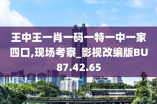 王中王一肖一码一特一中一家四口,现场考察_影视改编版BU87.42.65