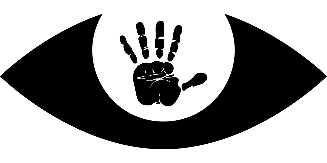权珍雅最新动态，闪耀之星持续攀升