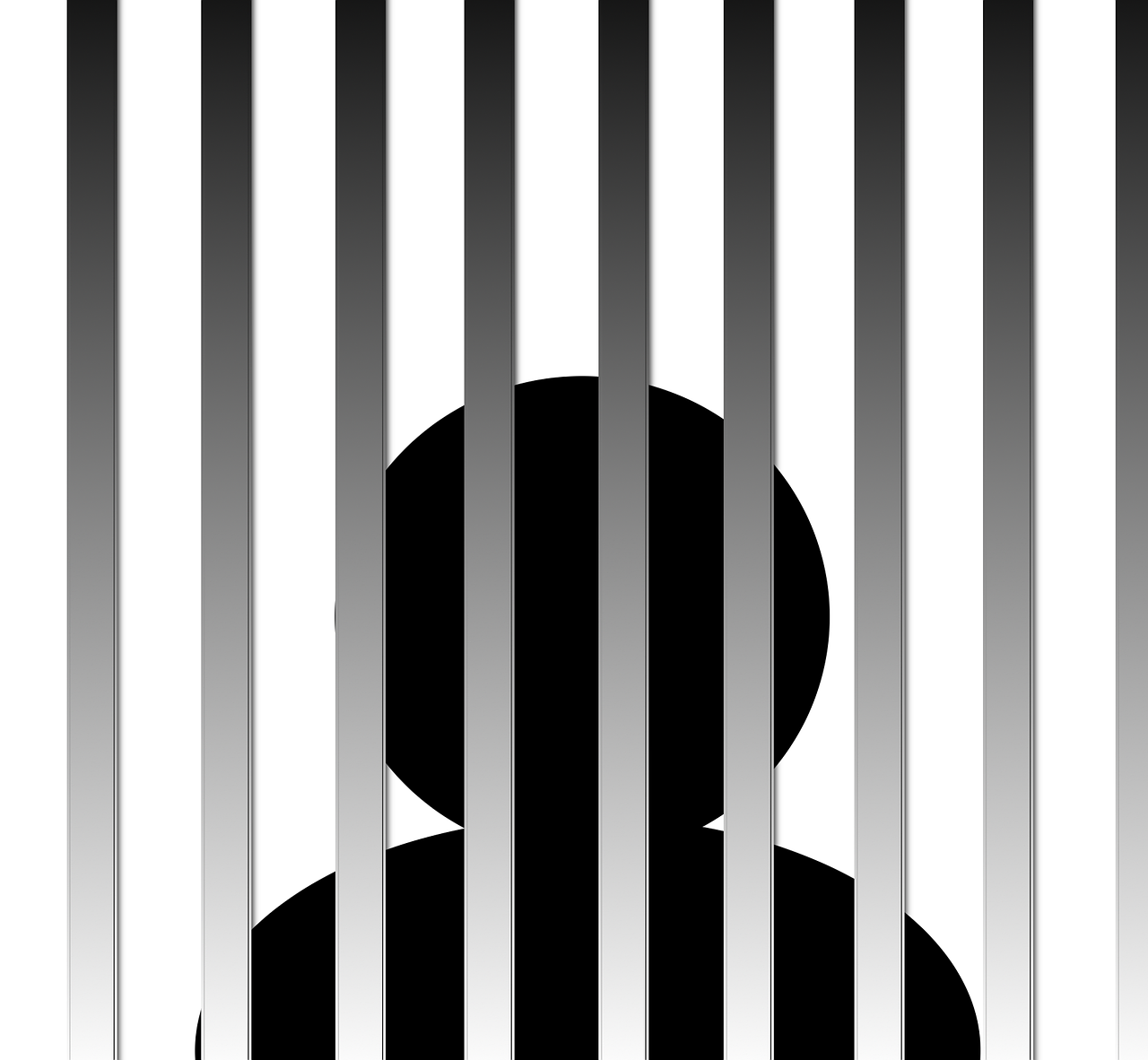 最新禁野法,最新禁野法的实施及其影响