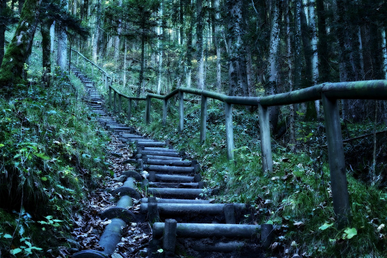 自然保护与生态旅游的新篇章，最新野狼谷之旅
