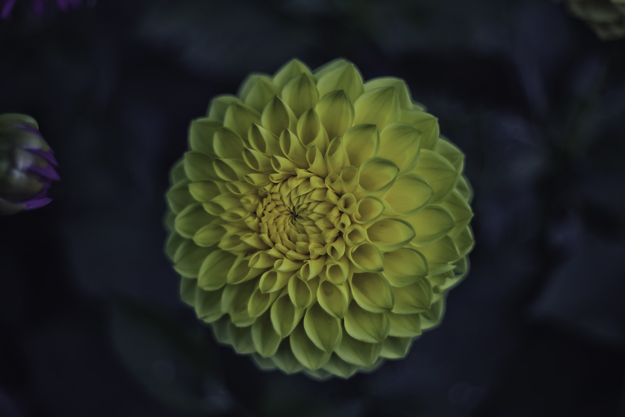 阳光不暖人心 第14页