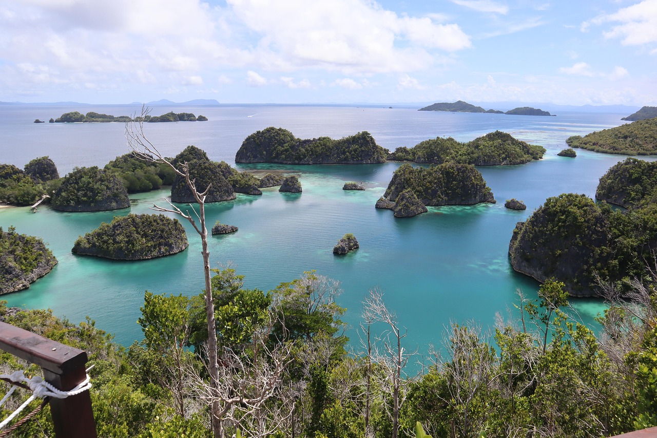 云南最新出行指南，探索云南的精彩之旅