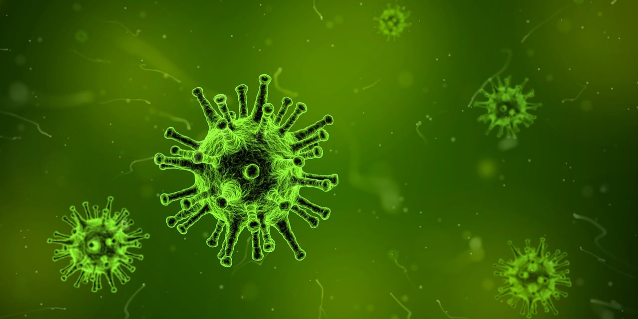 沃森生物最新分析报告解读，前景展望与深度剖析