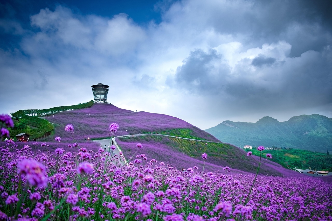 城市新景象与人文情怀，花伴落官最新风采展现