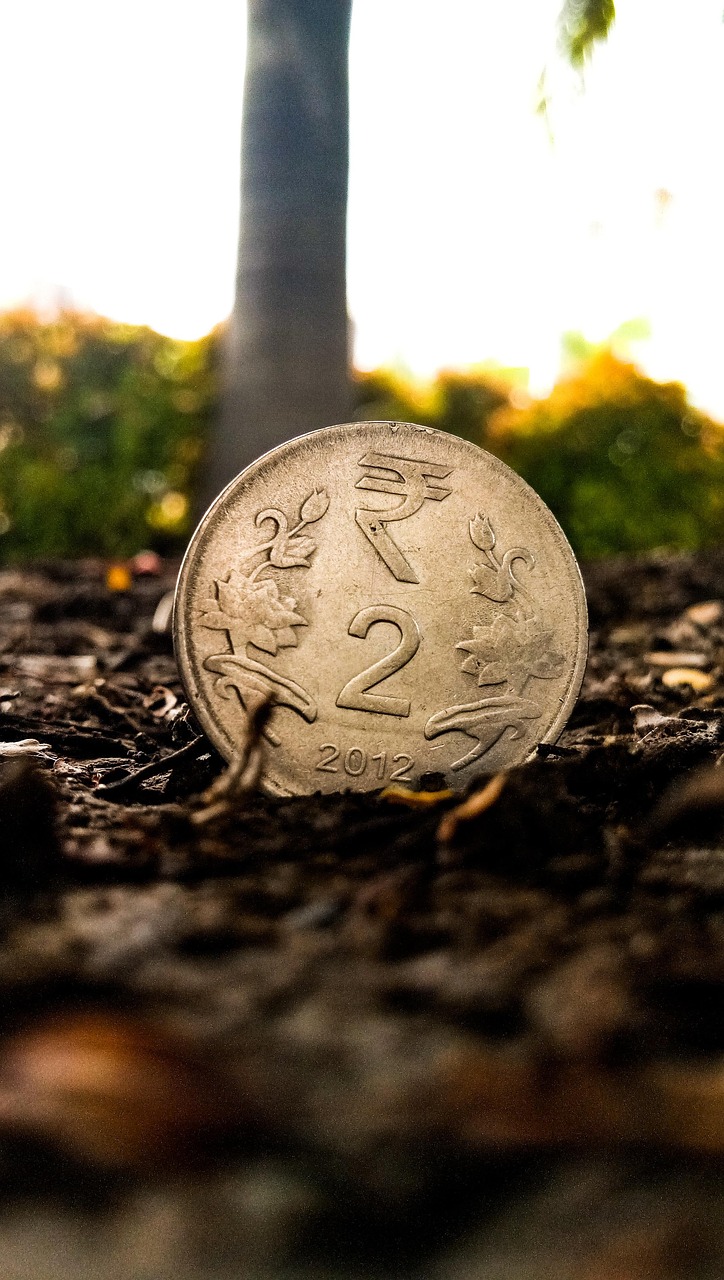 绿金迪最新回收价格深度解析，市场动态与趋势综述