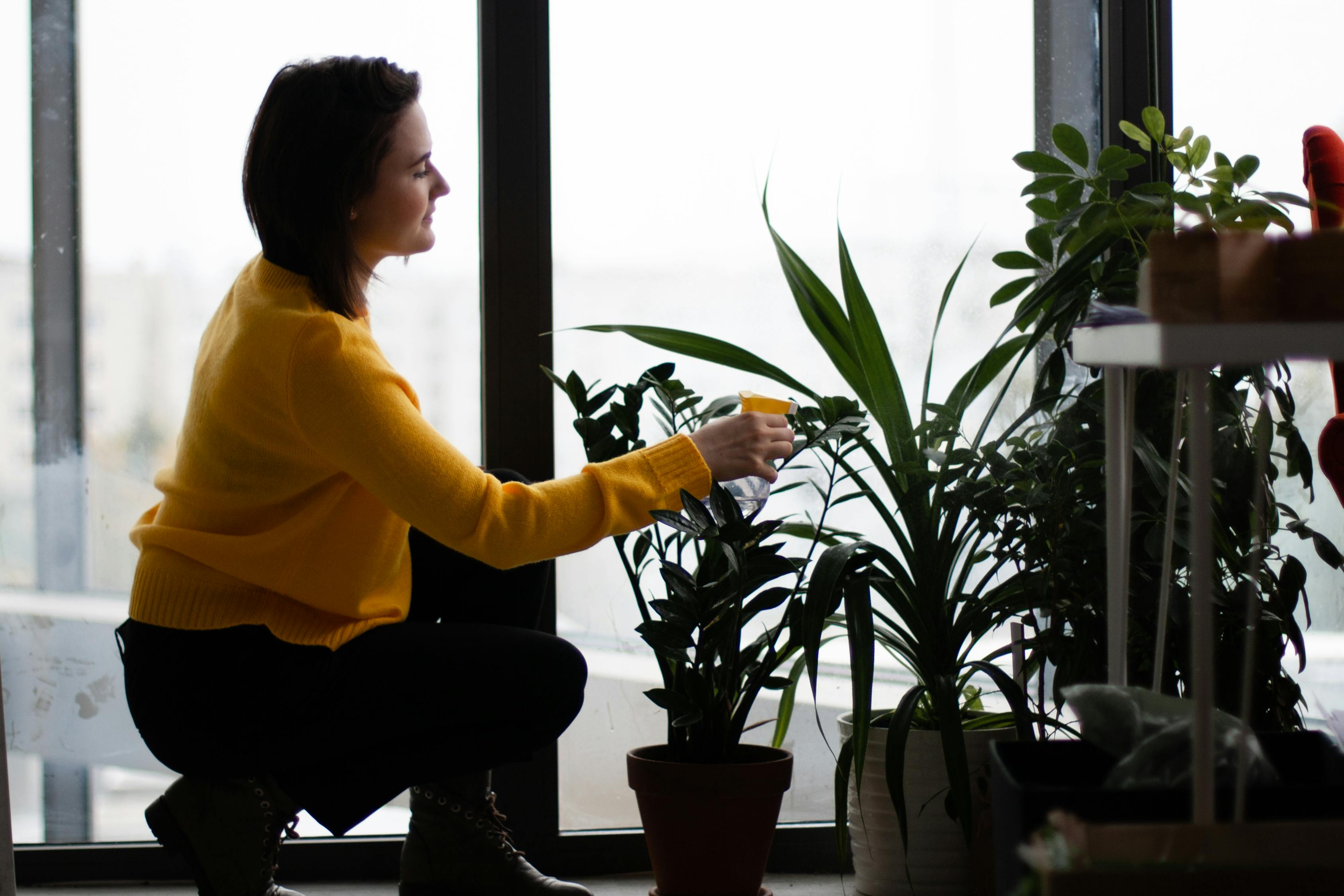 袁隆平孙女最新视频，传承与创新的精神力量闪耀未来