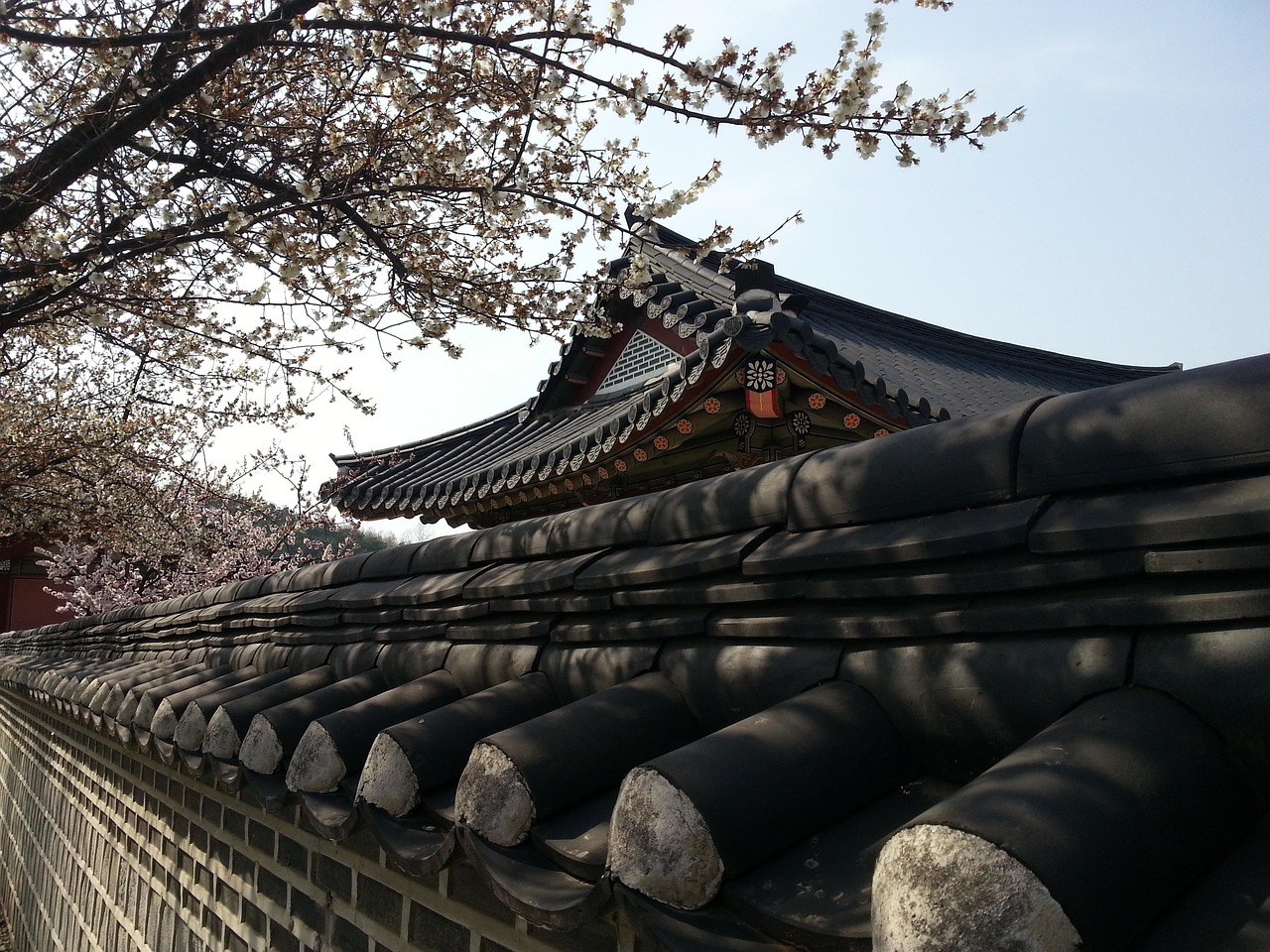探索韩国未知魅力，最新旅游景点大盘点