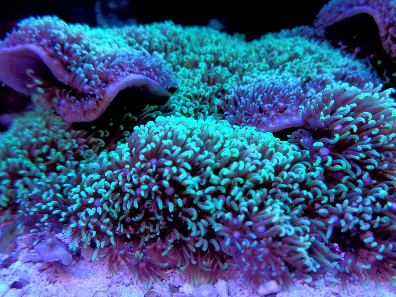 敏捷绿湖首府最新动态深度解析与最新资讯