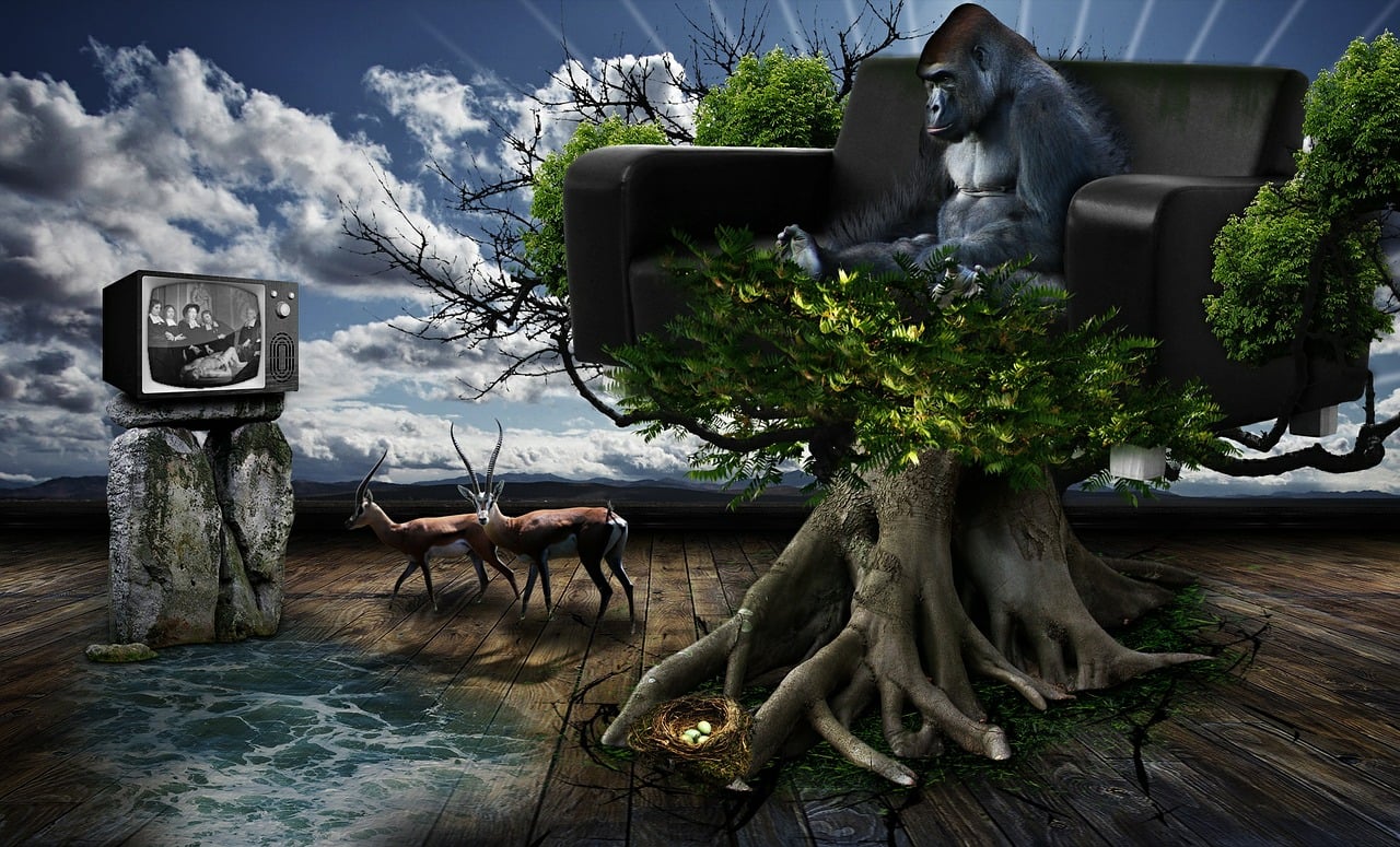 四月架空动漫世界，探索与畅想