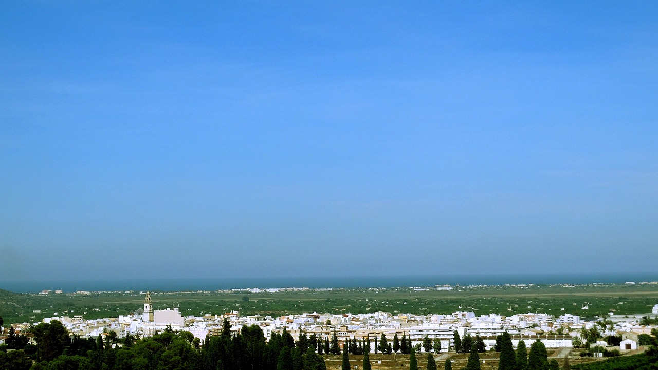 五月羽绒市场动态，价格走势分析与展望